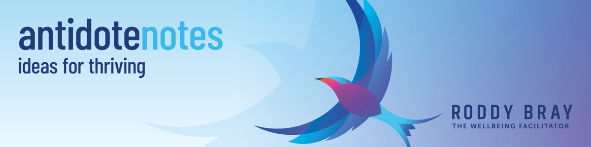 Roddy Bray-AN-Banner